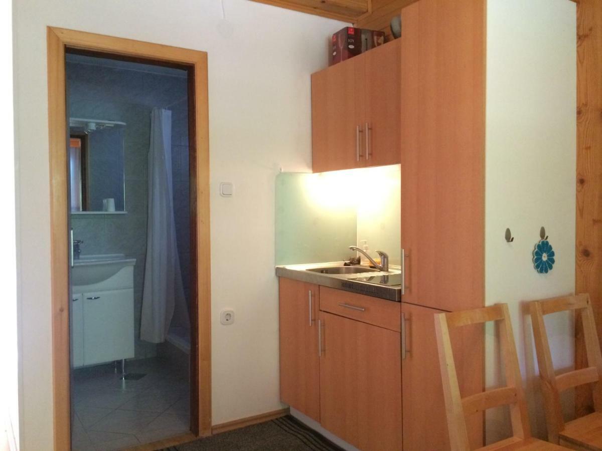 סולצאבה Apartment Tisa מראה חיצוני תמונה