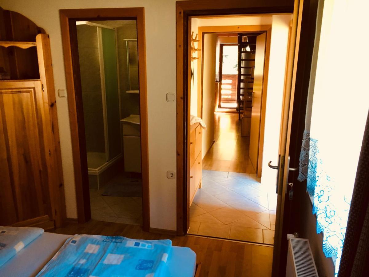 סולצאבה Apartment Tisa מראה חיצוני תמונה