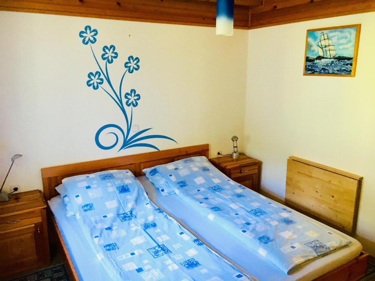 סולצאבה Apartment Tisa מראה חיצוני תמונה