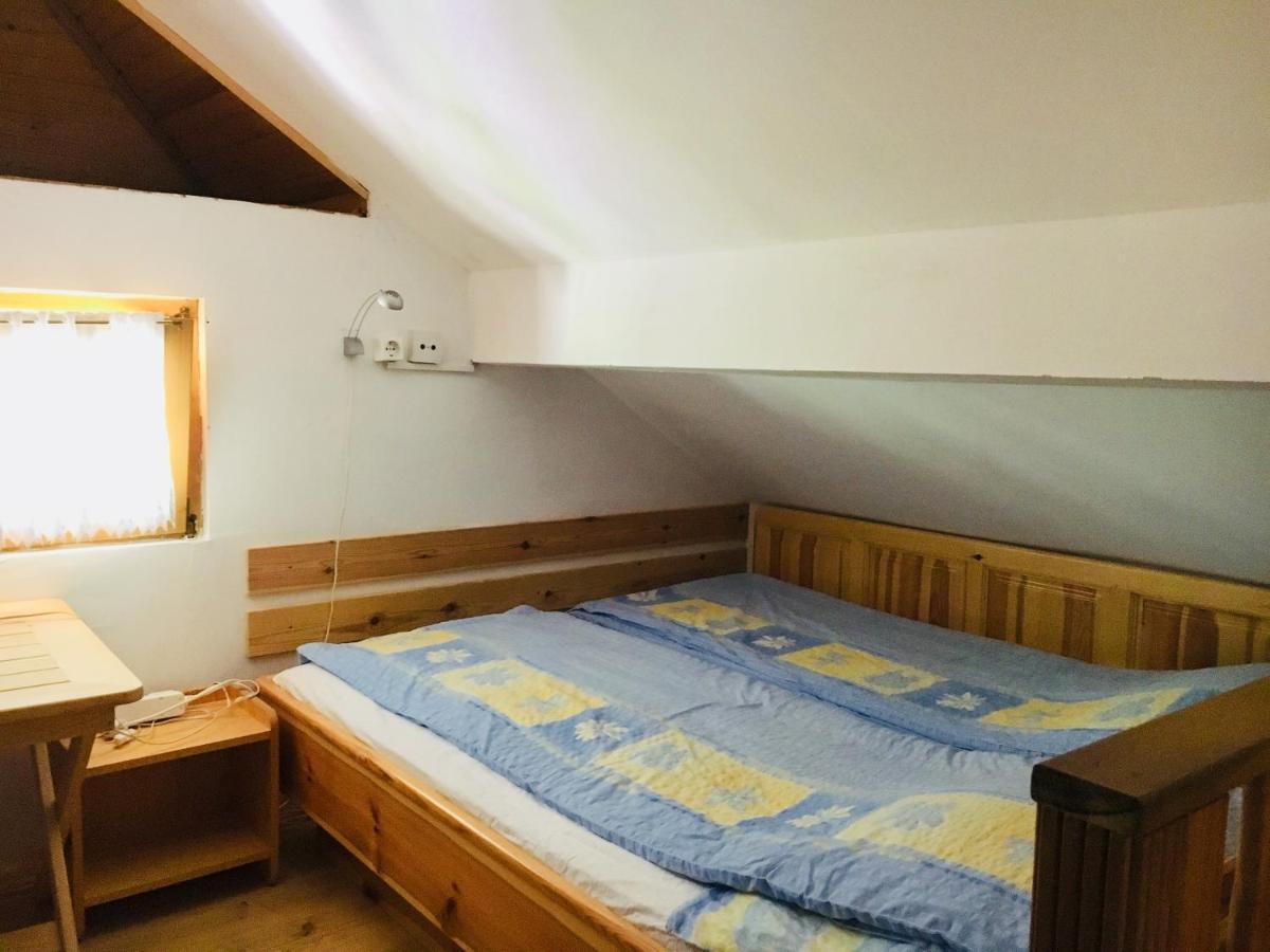 סולצאבה Apartment Tisa מראה חיצוני תמונה
